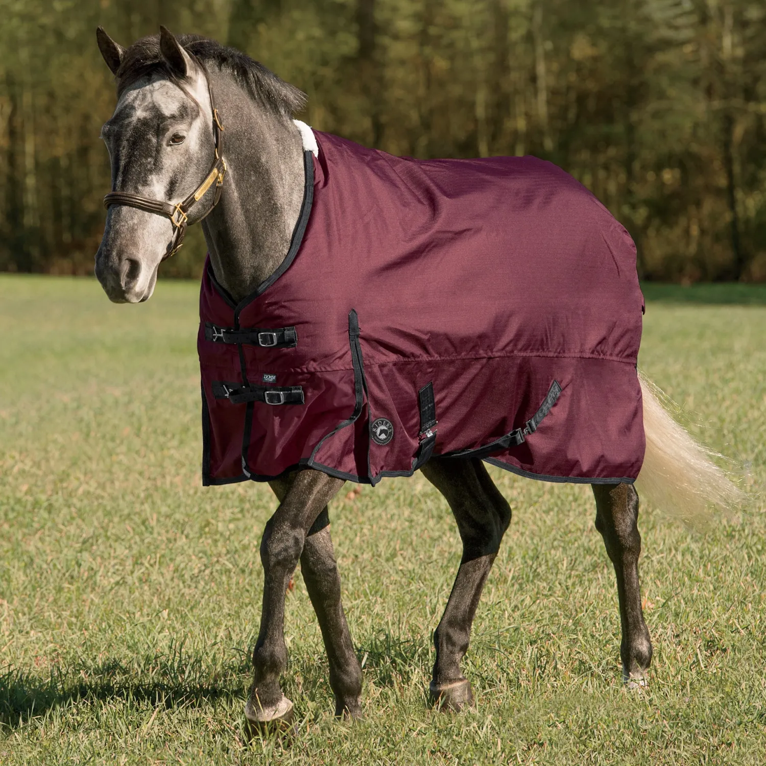 Online CWEAR BRANCH Rider’s International™ Supreme Heavyweight Turnout Blanket