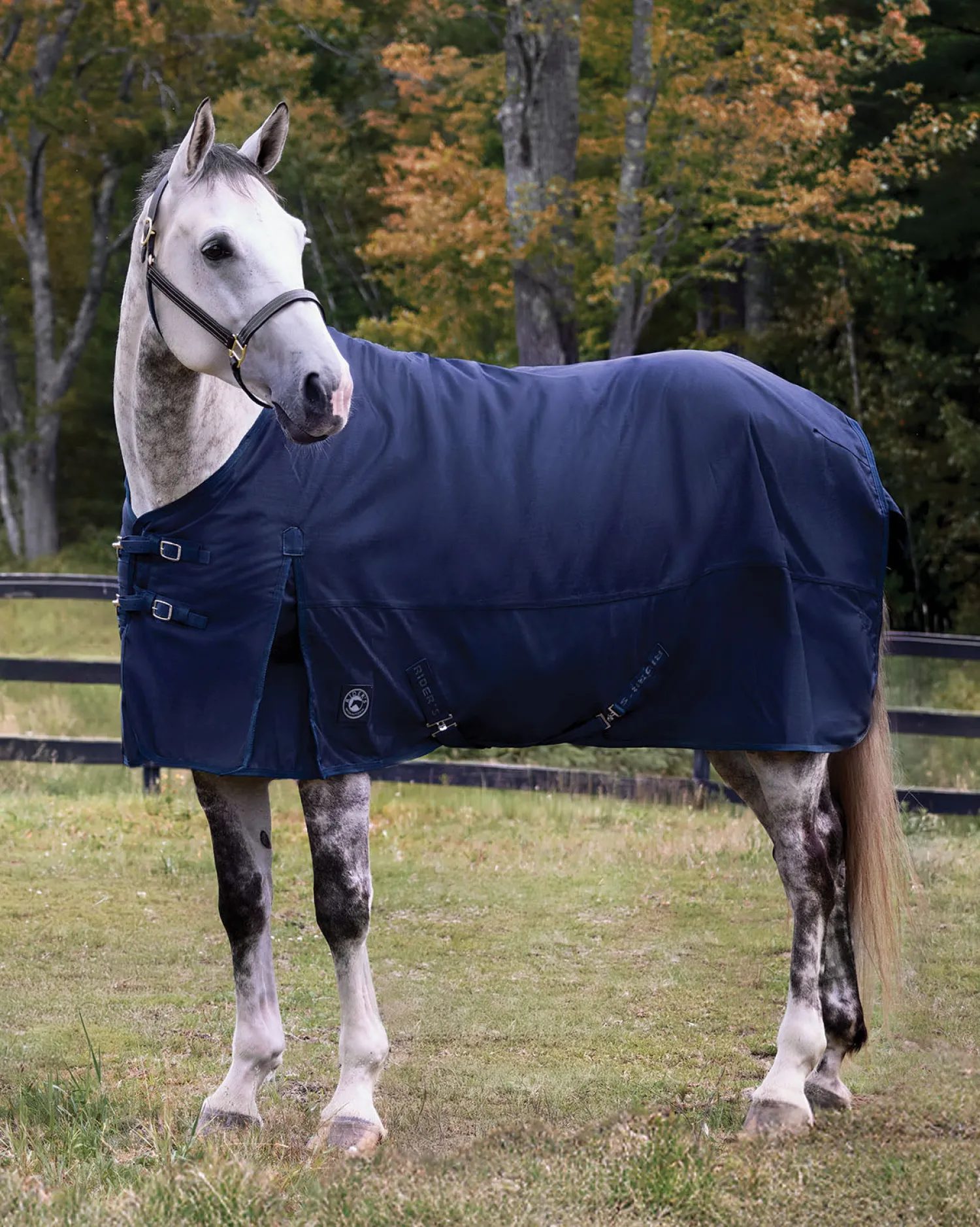 Clearance CWEAR BRANCH Rider’s International™ Supreme 100 Gram Turnout Blanket