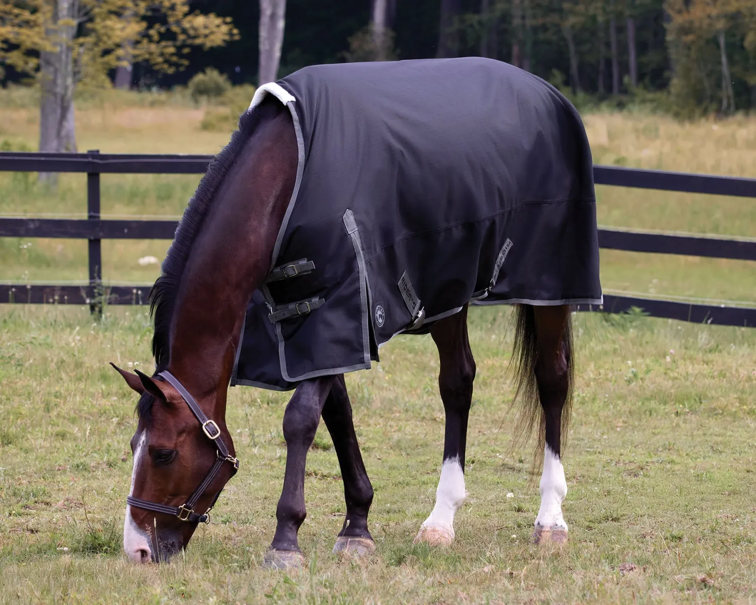Clearance CWEAR BRANCH Rider’s International™ Supreme 100 Gram Turnout Blanket