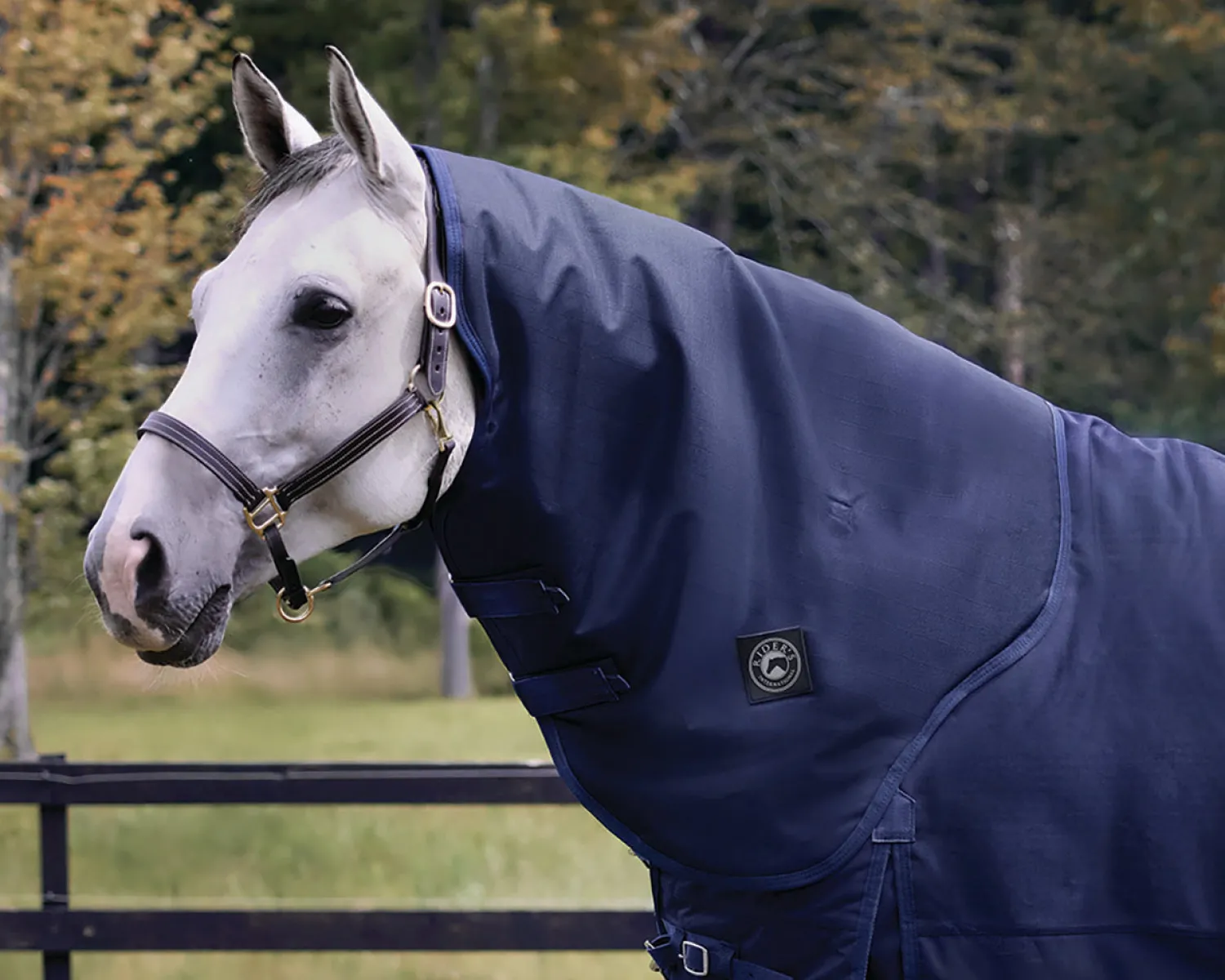 New CWEAR BRANCH Rider's International Supreme Hood–100G
