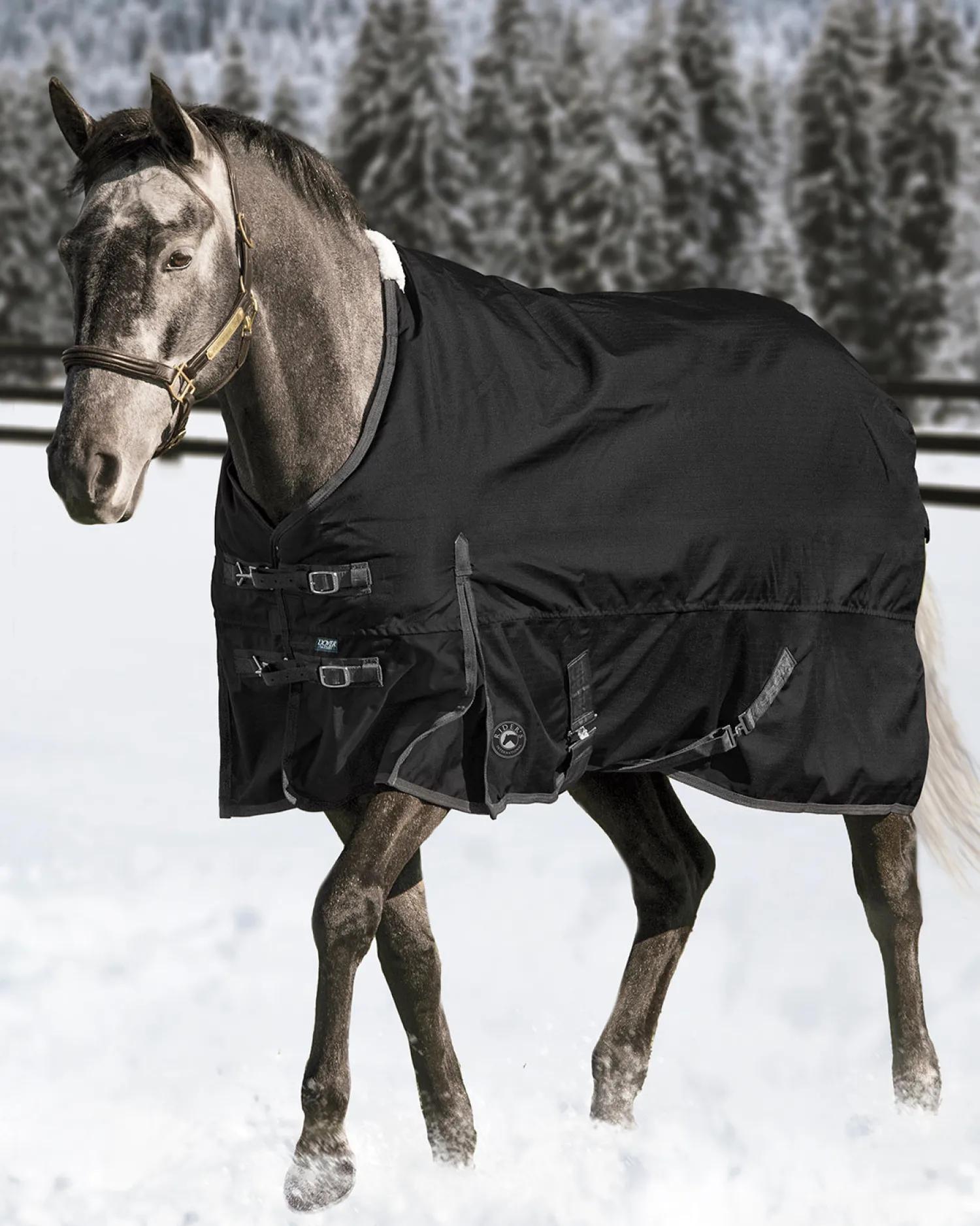 Clearance CWEAR BRANCH Rider’s International™ Supreme Medium-Weight Turnout Blanket