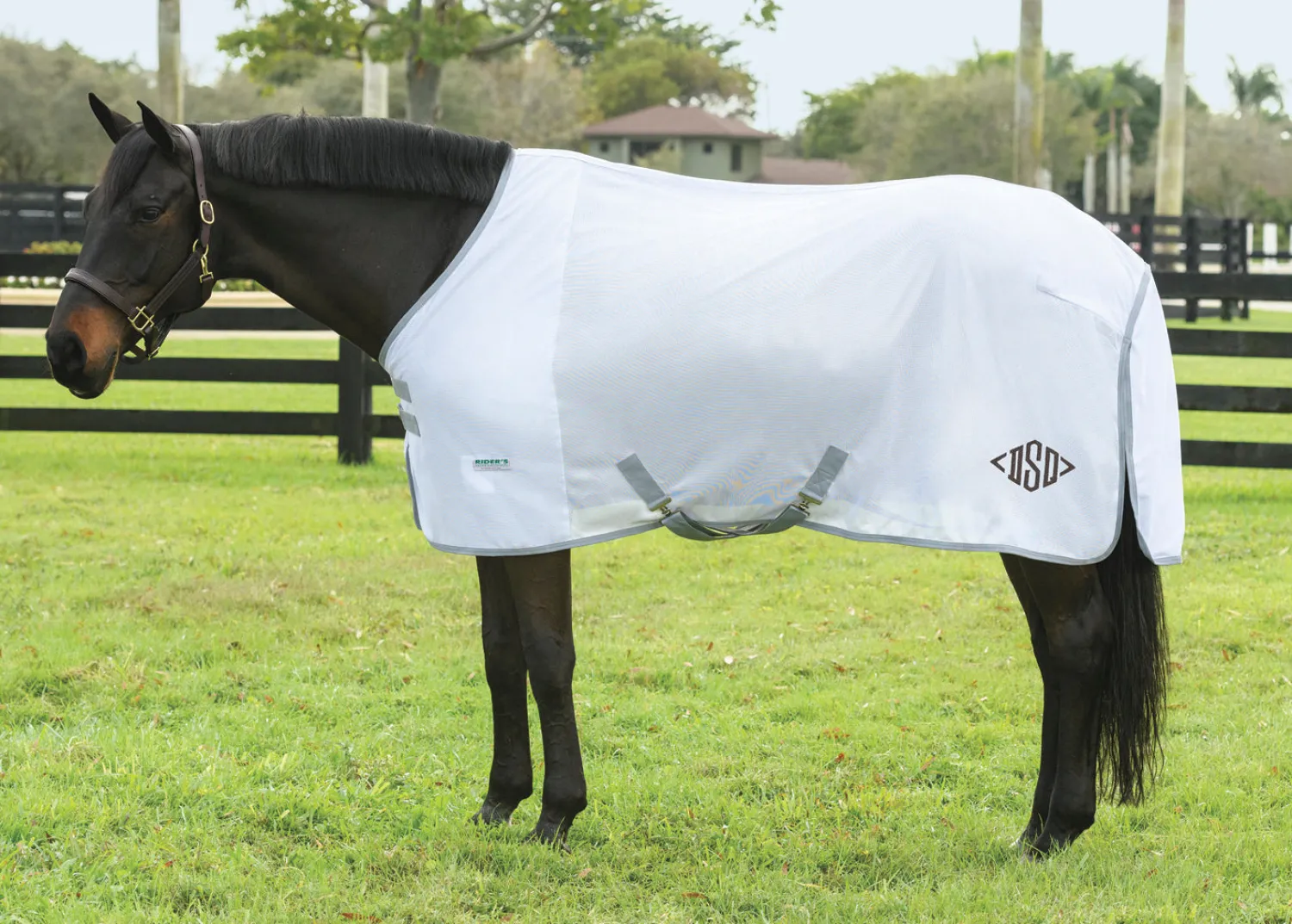 Hot INTEX EQUESTRIAN Rider’s International™ Fly Sheet