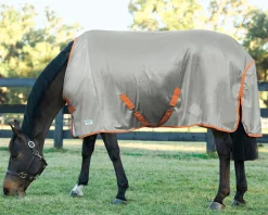Hot INTEX EQUESTRIAN Rider’s International™ Fly Sheet