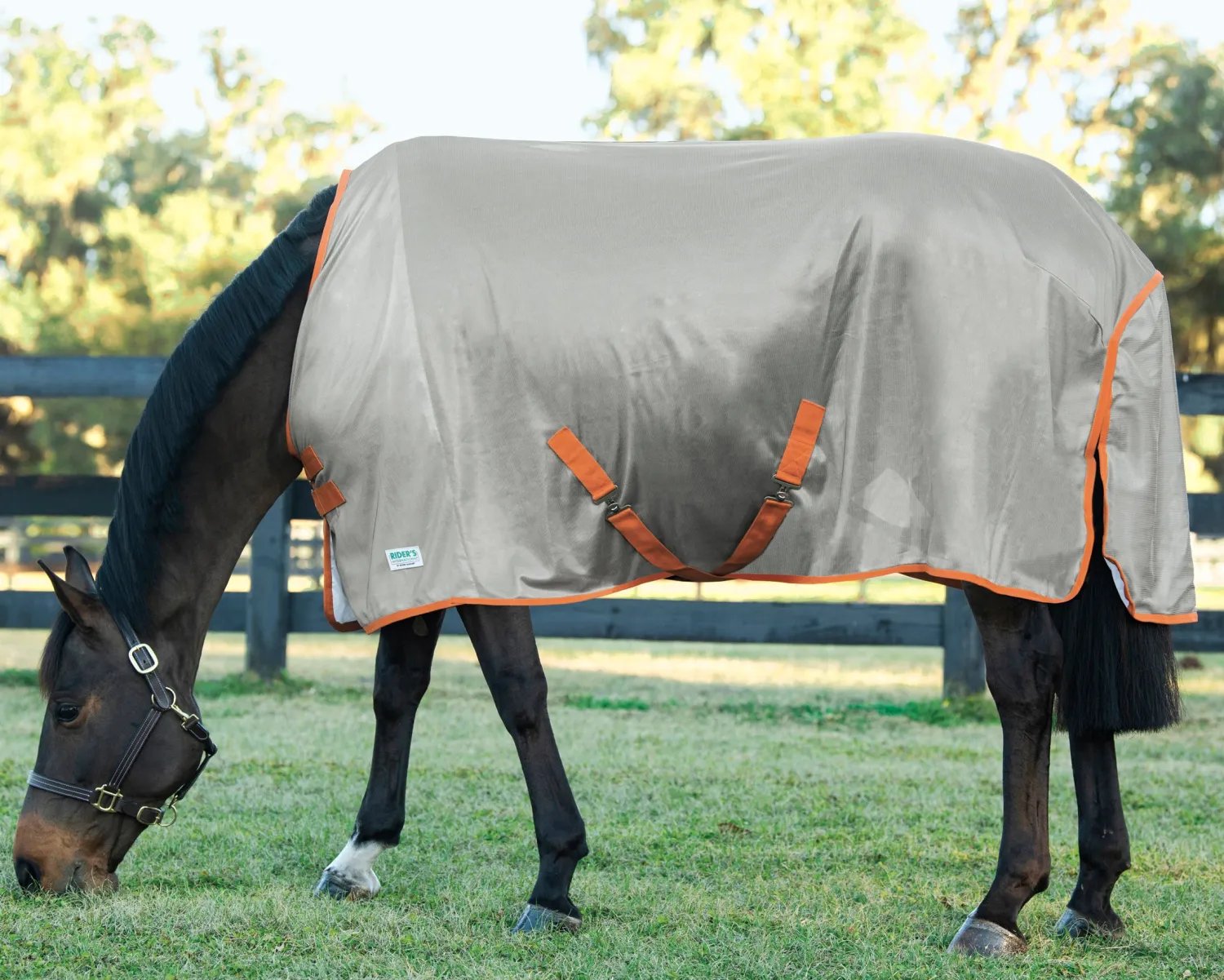Hot INTEX EQUESTRIAN Rider’s International™ Fly Sheet