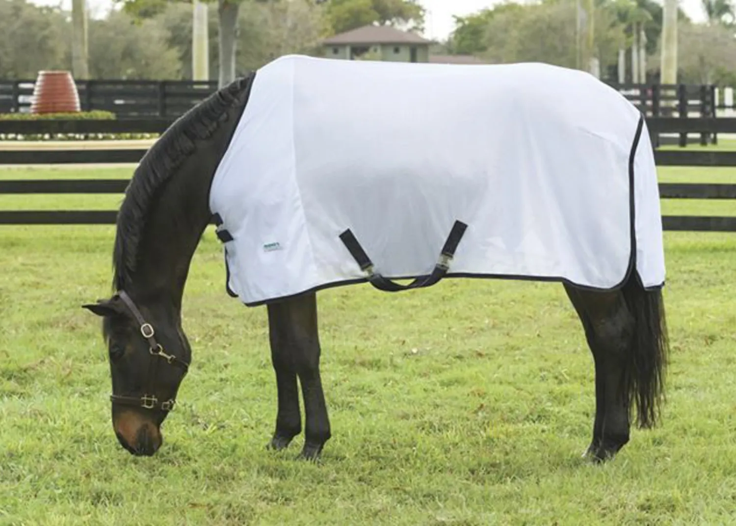 Hot INTEX EQUESTRIAN Rider’s International™ Fly Sheet