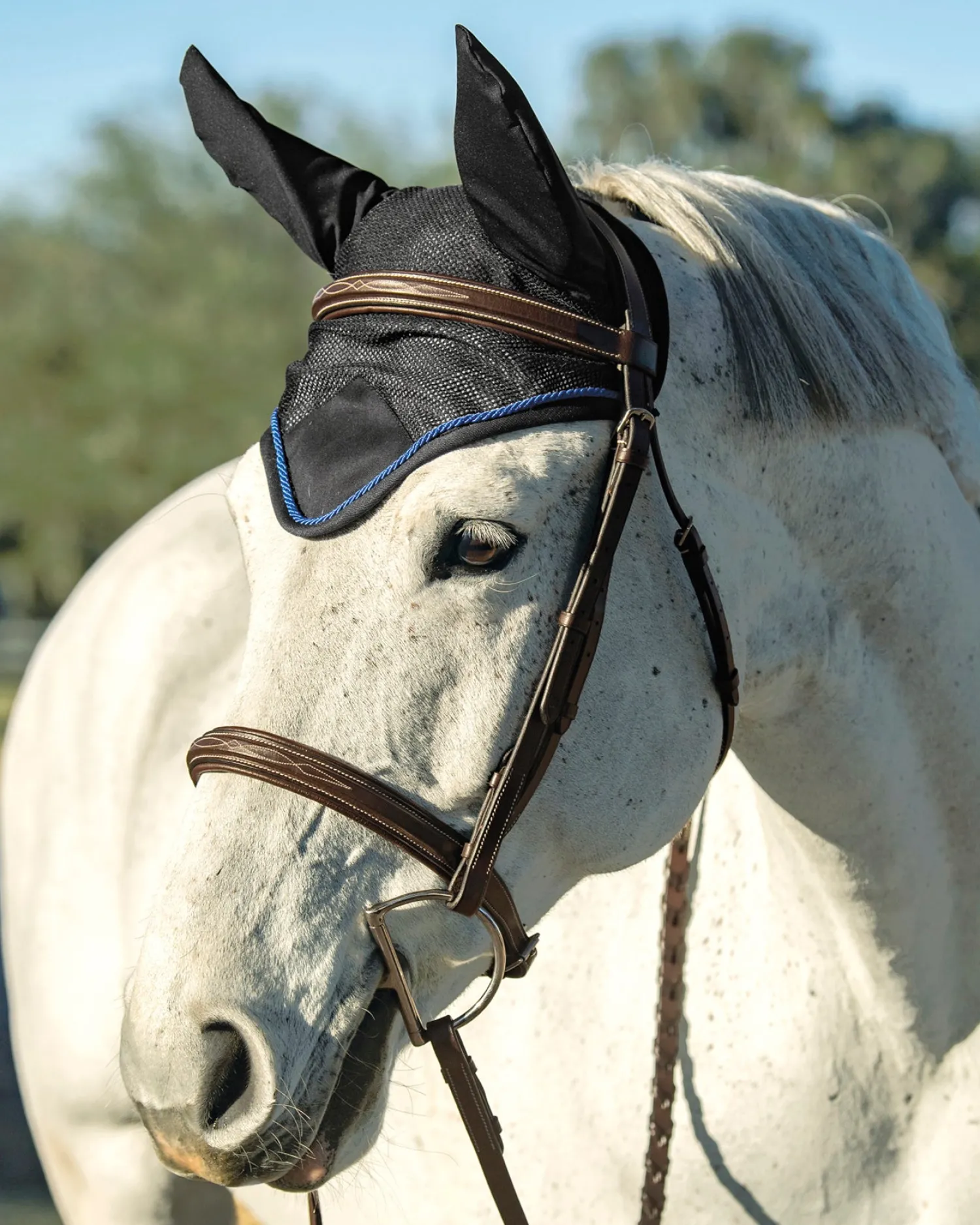 Discount INTEX EQUESTRIAN Rider’s International™ Lightweight Mesh Ear Bonnet
