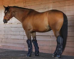 New KARTIKEYA INTL Rider’s International™ Shipping Boot Set Black