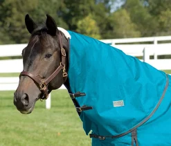 Clearance CWEAR BRANCH Rider’s International™ Supreme Neck Cover