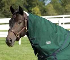 Clearance CWEAR BRANCH Rider’s International™ Supreme Neck Cover