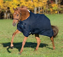 Hot CWEAR BRANCH Rider’s International™ Supreme Turnout Sheet
