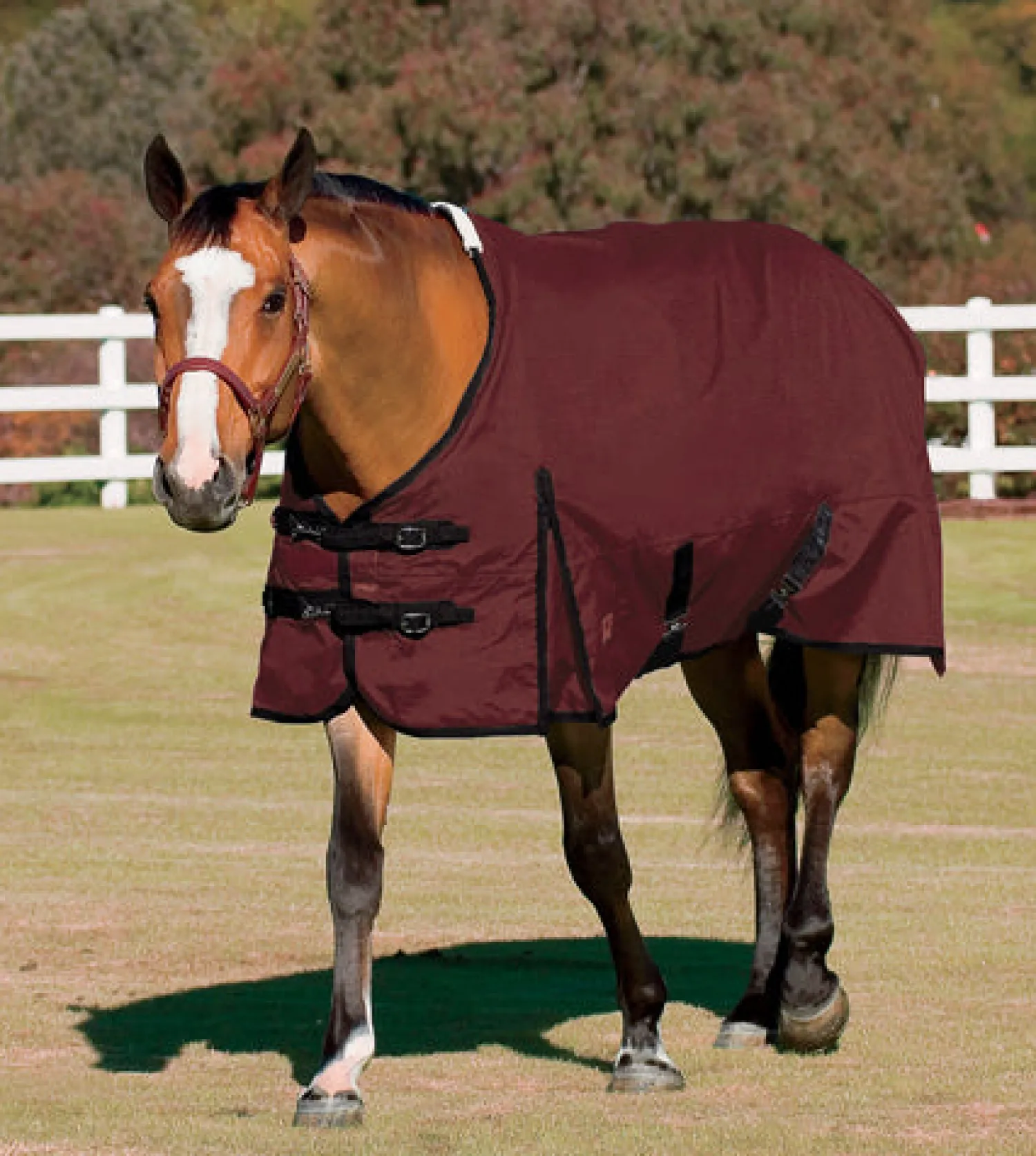 Hot CWEAR BRANCH Rider’s International™ Supreme Turnout Sheet