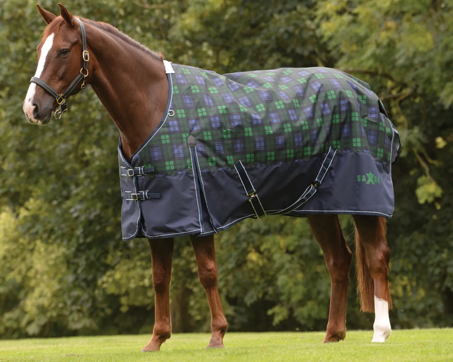 Clearance WEATHERBEETA Saxon 1200D Medium-Weight Blanket with Gussets & Standard Neck II