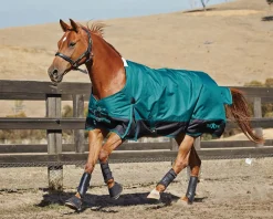 Clearance WEATHERBEETA Saxon 1200D Medium-Weight Blanket with Gussets & Standard Neck II
