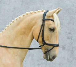 Clearance SCHOCKEMOEHLE N.A. Schockemöhle Equitus Alpha Bridle