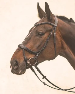 Clearance SCHOCKEMOEHLE N.A. Schockemöhle Equitus Alpha Bridle