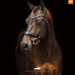 Sale SCHOCKEMOEHLE N.A. Schockemöhle Equitus Beta Bridle Black/Silver