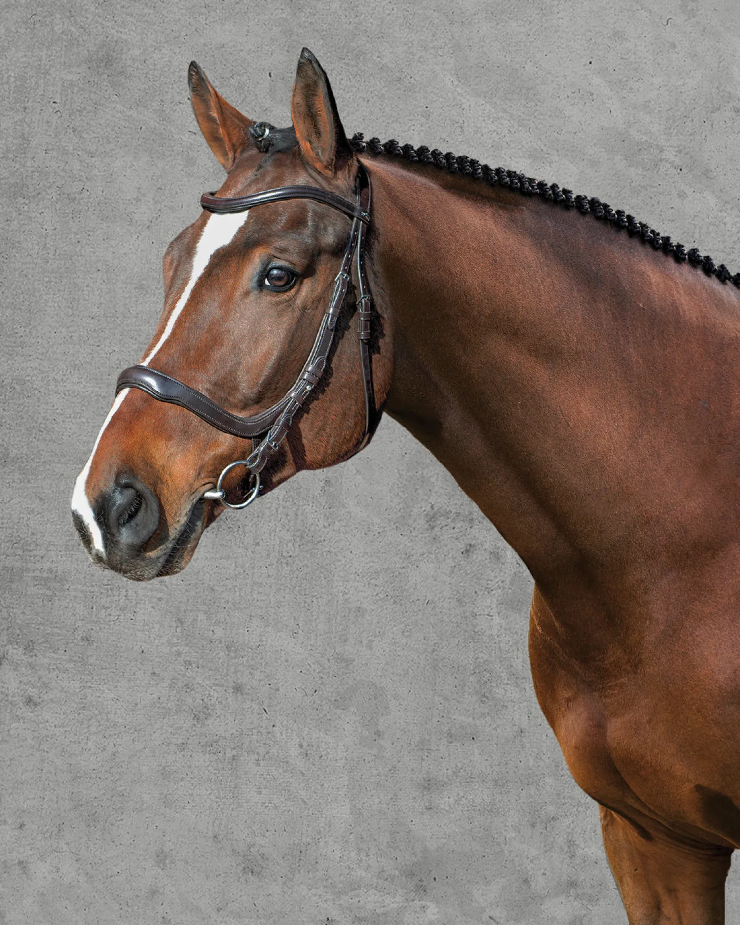 Outlet SCHOCKEMOEHLE N.A. Schockemöhle Equitus Delta Bridle