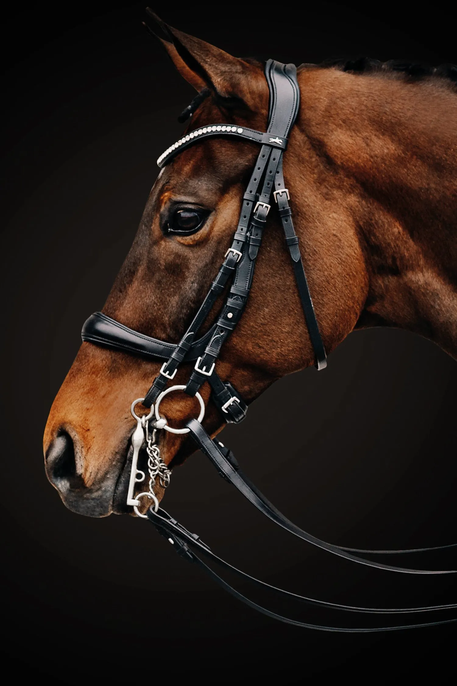 Outlet SCHOCKEMOEHLE N.A. Schockemöhle Equitus Gamma Double Bridle