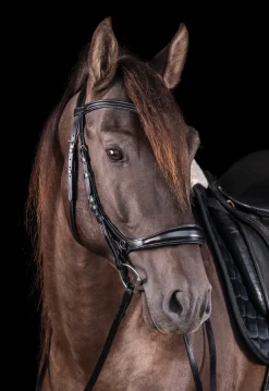 Hot SCHOCKEMOEHLE N.A. Schockemöhle Equitus Theta Bridle
