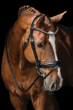 Sale SCHOCKEMOEHLE N.A. Schockemöhle Malaga Bridle