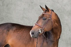 Discount SCHOCKEMOEHLE N.A. Schockemöhle Montreal Select Anatomic Hunter Bridle Espresso/Cream/Silver