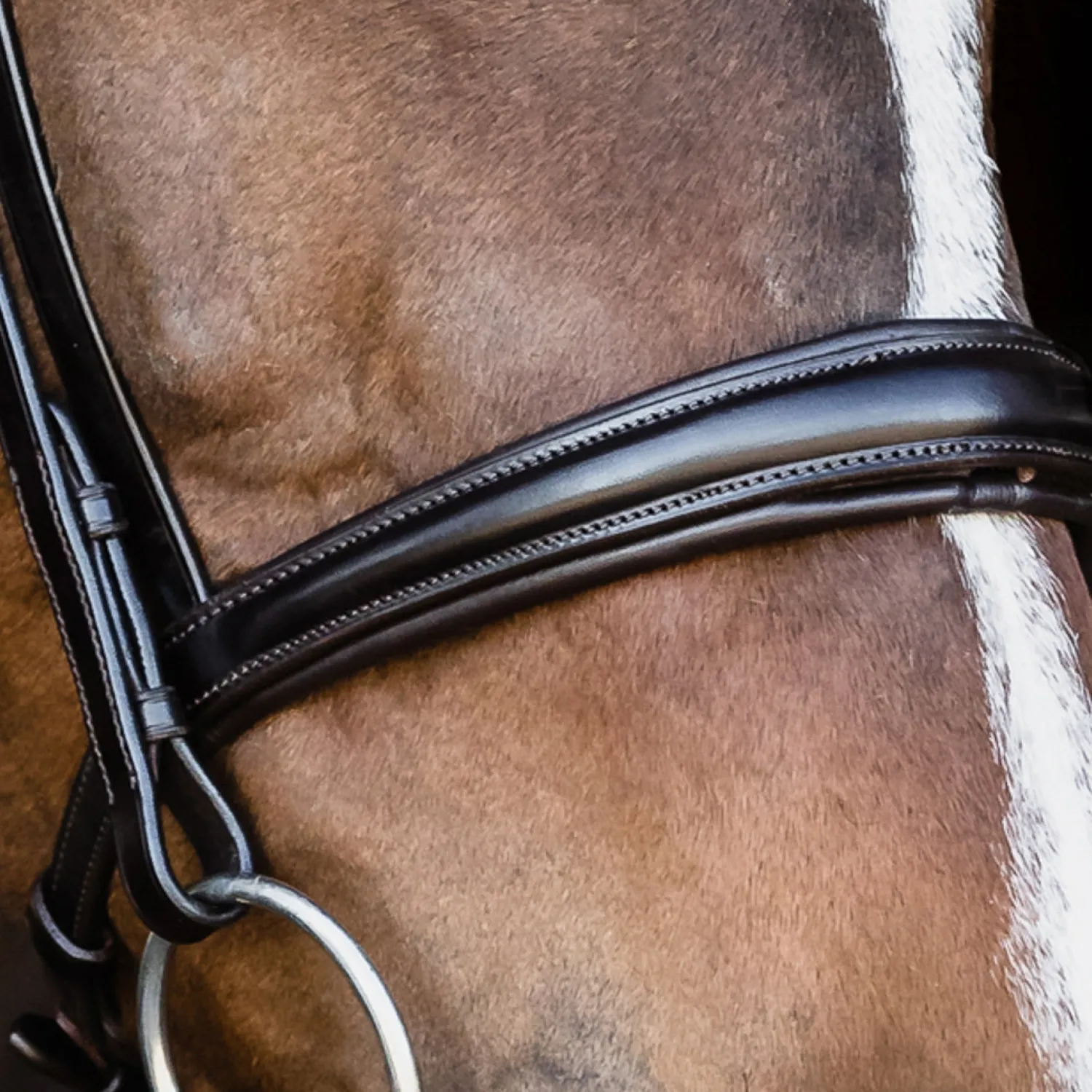 SCHOCKEMOEHLE N.A. Schockemöhle Monza Bridle