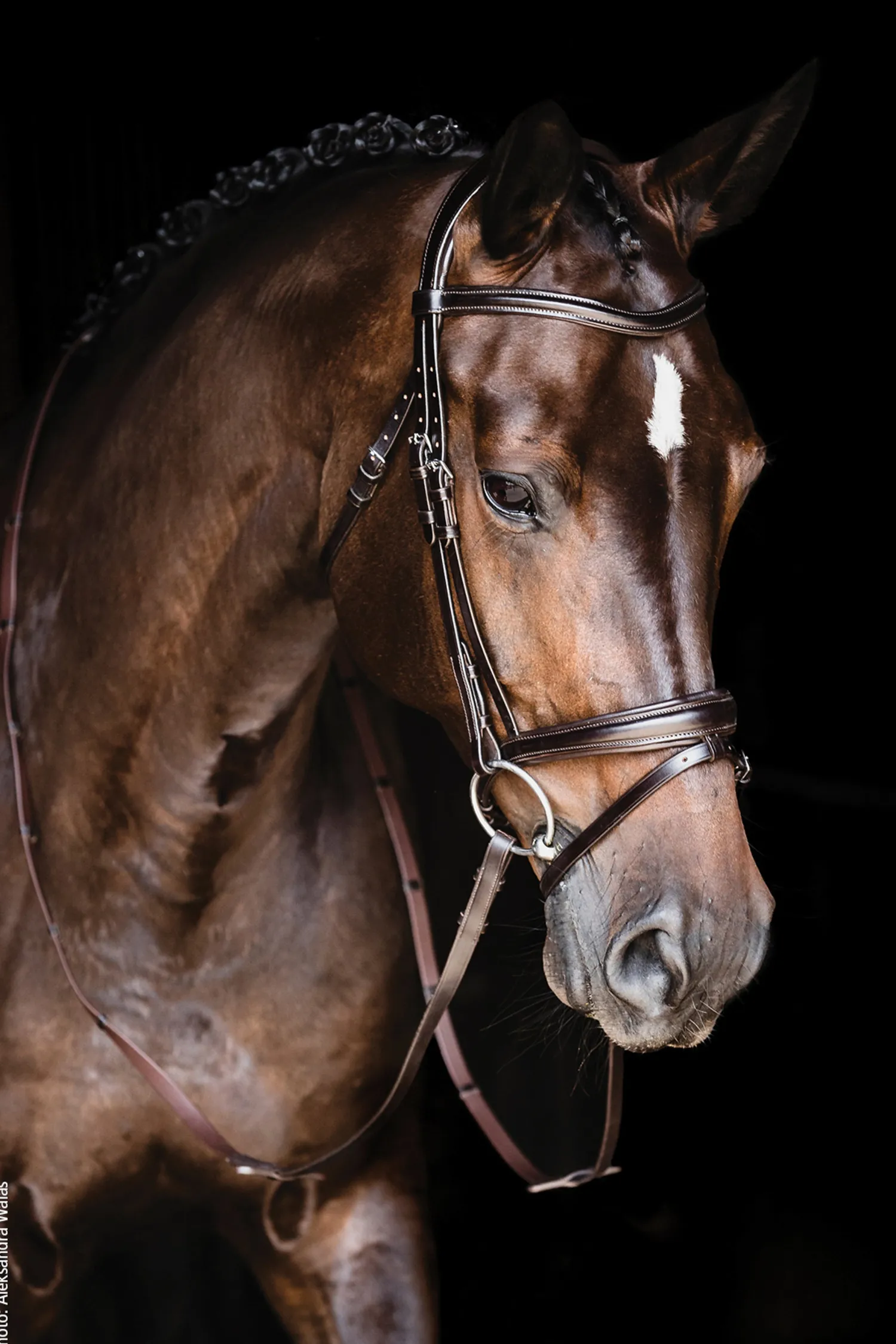 SCHOCKEMOEHLE N.A. Schockemöhle Monza Bridle