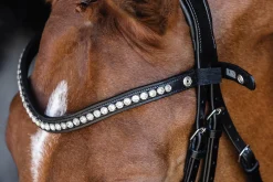 Sale SCHOCKEMOEHLE N.A. Schockemöhle Pisa Drop Nose Bridle Black/Silver