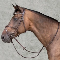 New SCHOCKEMOEHLE N.A. Schockemöhle Rio Select Anatomic Figure-8 Bridle Espresso/Silver