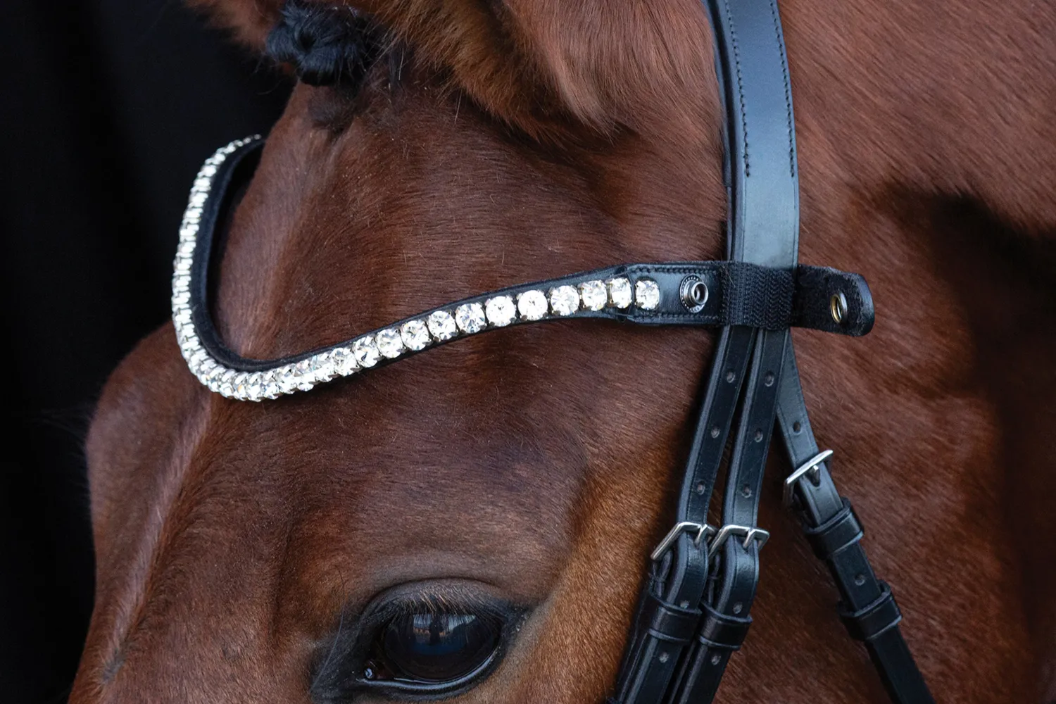 Clearance SCHOCKEMOEHLE N.A. Schockemöhle Siena Browband