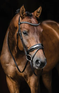New SCHOCKEMOEHLE N.A. Schockemöhle Standford Glam Bridle Black Patent/Silver