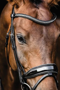 New SCHOCKEMOEHLE N.A. Schockemöhle Standford Glam Bridle Black Patent/Silver