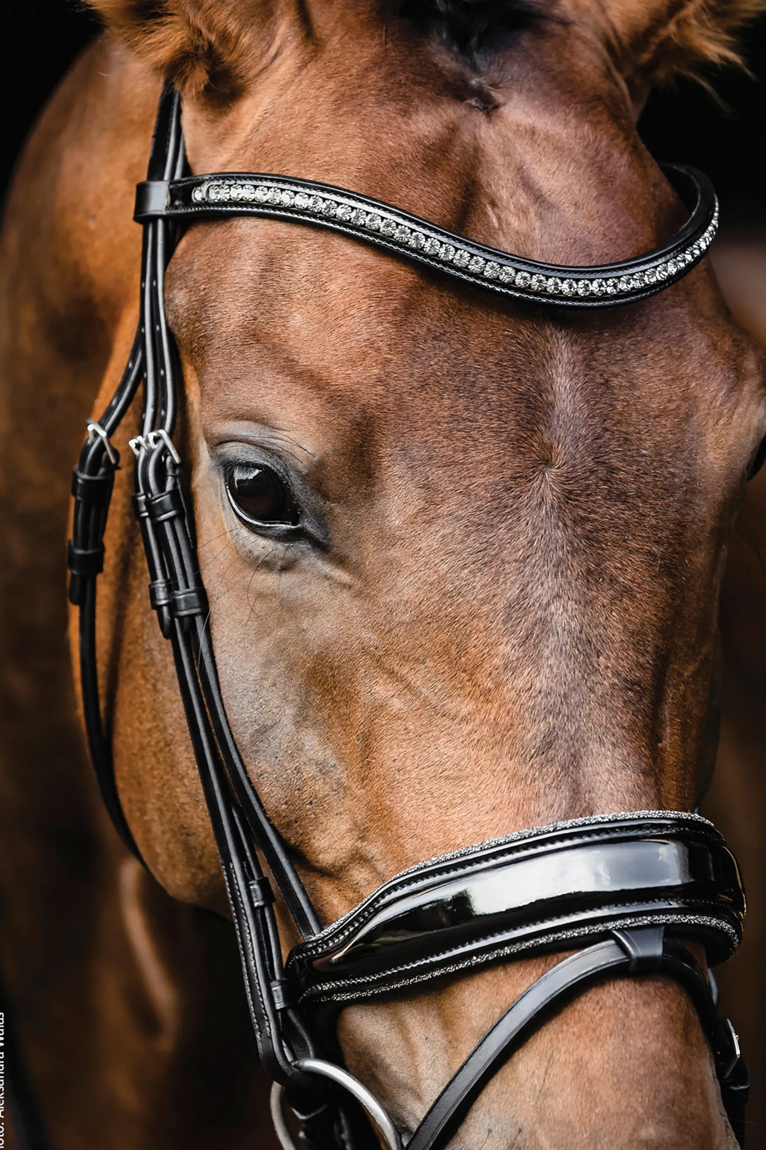 New SCHOCKEMOEHLE N.A. Schockemöhle Standford Glam Bridle Black Patent/Silver