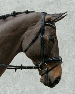 New SCHOCKEMOEHLE N.A. Schockemöhle Stanford Bridle Black