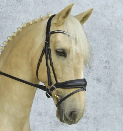 New SCHOCKEMOEHLE N.A. Schockemöhle Stanford Bridle Black