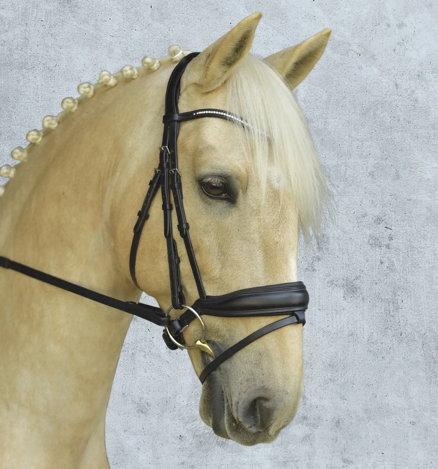New SCHOCKEMOEHLE N.A. Schockemöhle Stanford Bridle Black