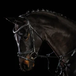 Clearance SCHOCKEMOEHLE N.A. Schockemöhle Tokyo F Bridle
