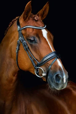 Clearance SCHOCKEMOEHLE N.A. Schockemöhle Malibu Bridle