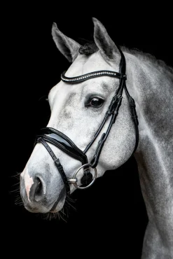 Clearance SCHOCKEMOEHLE N.A. Schockemöhle Malibu Bridle
