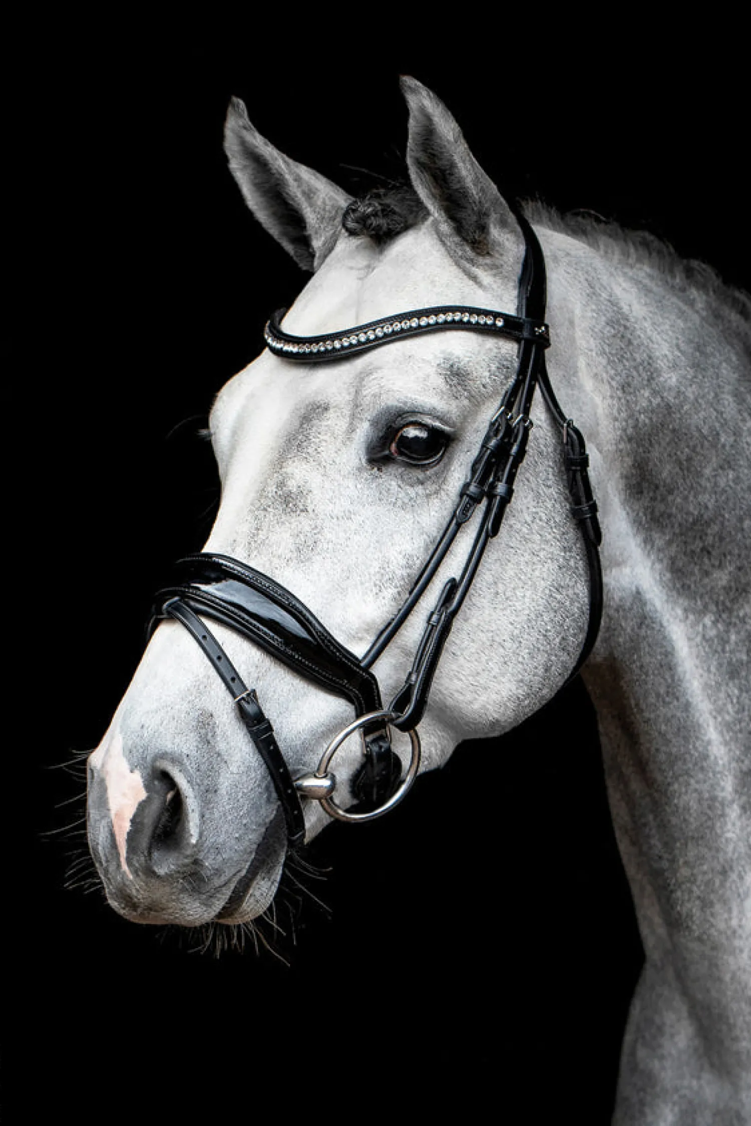 Clearance SCHOCKEMOEHLE N.A. Schockemöhle Malibu Bridle