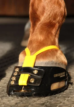 Best INTREPID INTL Scoot Boot Adjust Hoof Boots - Pair Black