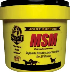 Discount ANIMAL HEALTH INT Select MSM Joint Supplement