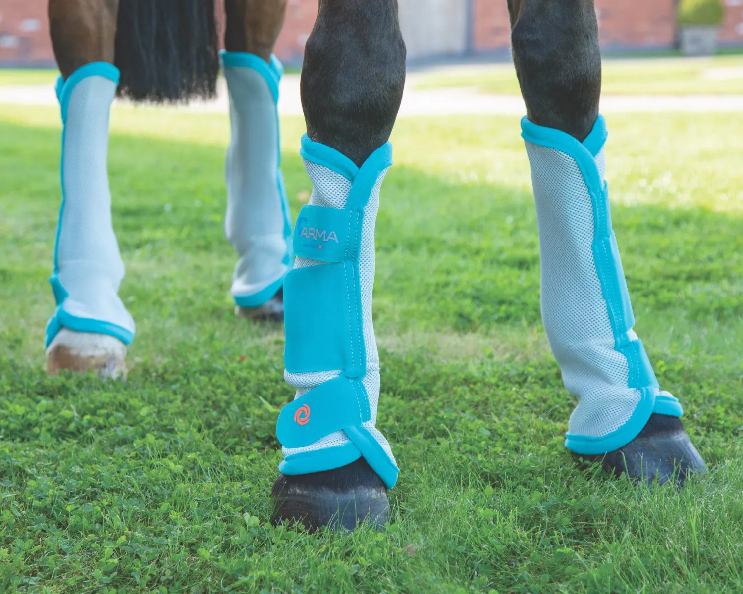 Discount SHIRES EQUESTRIAN Shires ARMA Fly Turnout Socks