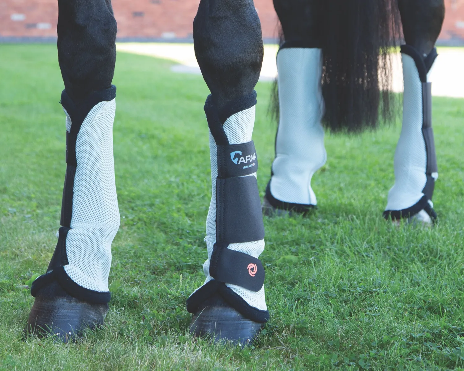 Discount SHIRES EQUESTRIAN Shires ARMA Fly Turnout Socks