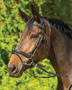 Best SHIRES EQUESTRIAN Shires Avignon Aspen Bridle Black