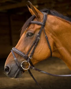 Outlet SHIRES EQUESTRIAN Shires Avignon Louisville Bridle