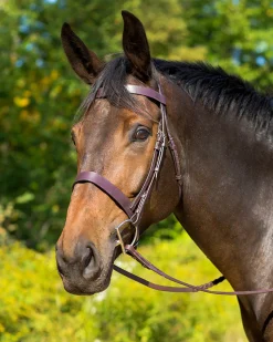 Sale SHIRES EQUESTRIAN Shires Avignon Middleburg Hunt Bridle Havana