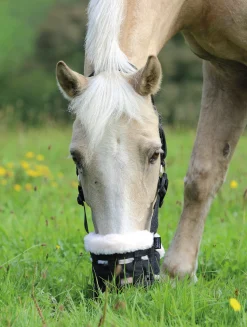 Online SHIRES EQUESTRIAN Shires Deluxe Grass Muzzle Black