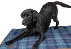 Discount SHIRES EQUESTRIAN Shires Digby & Fox Large Tweed Blanket