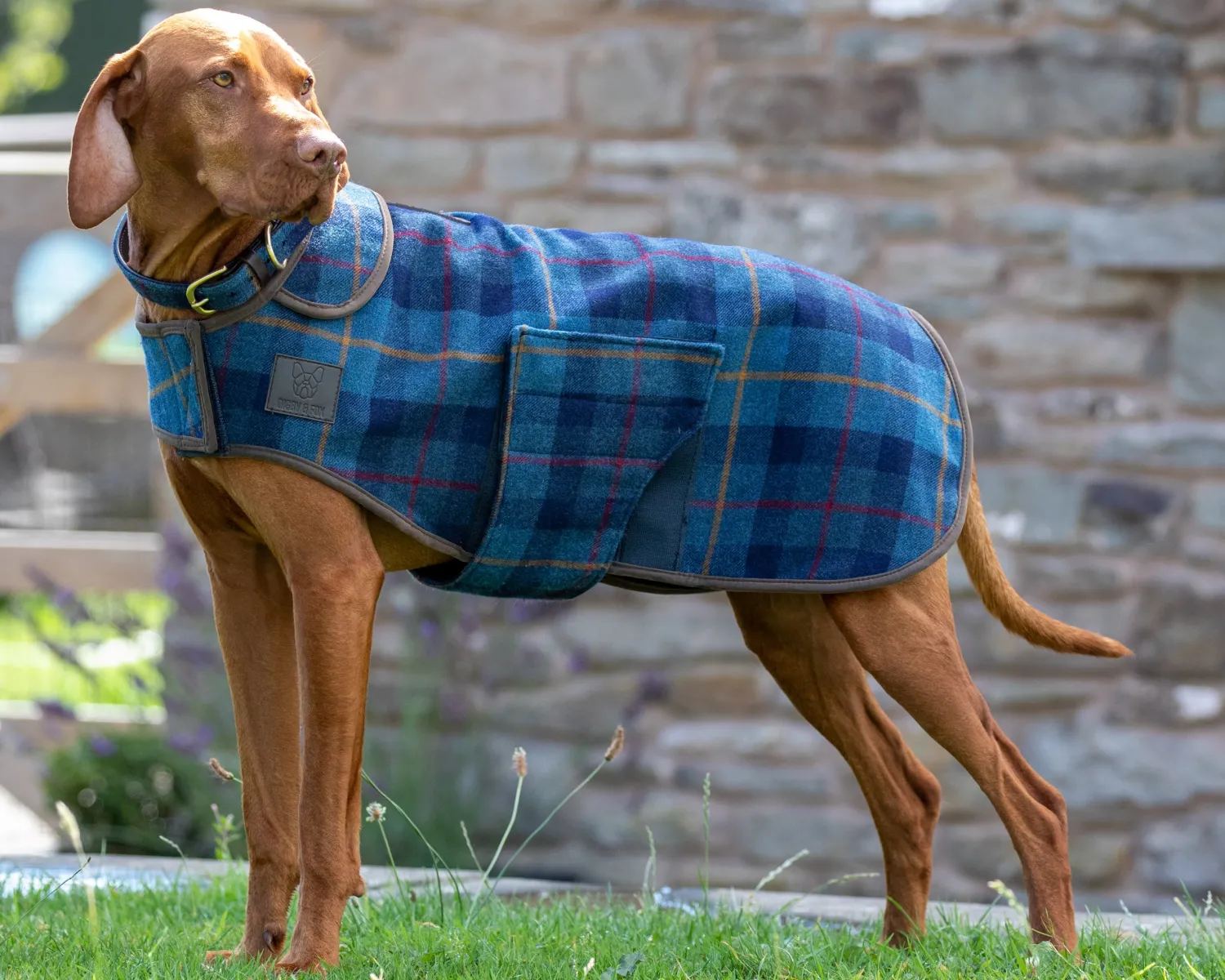 Best SHIRES EQUESTRIAN Shires Digby & Fox Tweed Dog Coat